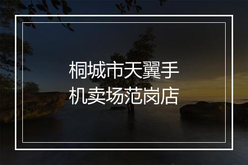 桐城市天翼手机卖场范岗店