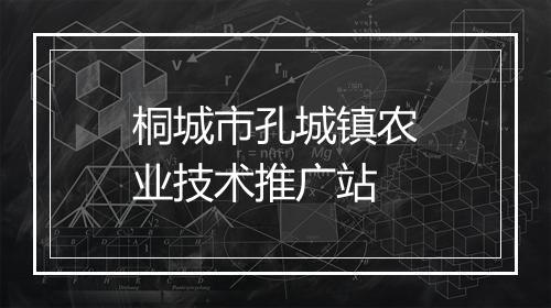 桐城市孔城镇农业技术推广站