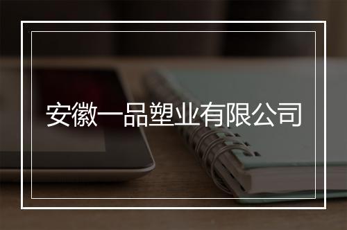 安徽一品塑业有限公司