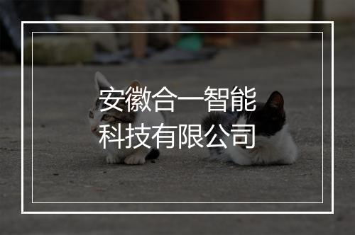 安徽合一智能科技有限公司