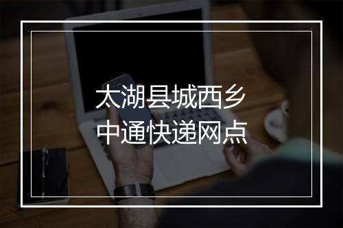 太湖县城西乡中通快递网点