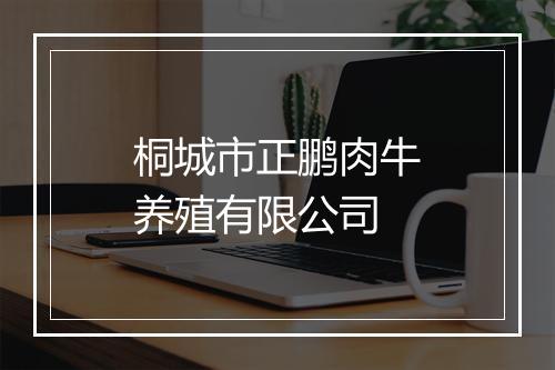 桐城市正鹏肉牛养殖有限公司