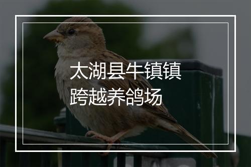 太湖县牛镇镇跨越养鸽场