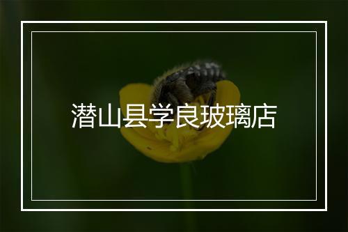 潜山县学良玻璃店