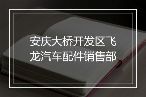 安庆大桥开发区飞龙汽车配件销售部