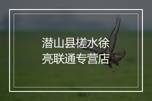 潜山县槎水徐亮联通专营店