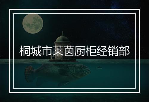 桐城市莱茵厨柜经销部