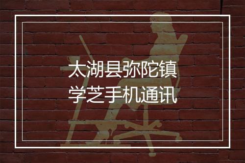 太湖县弥陀镇学芝手机通讯