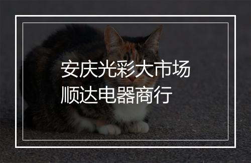 安庆光彩大市场顺达电器商行
