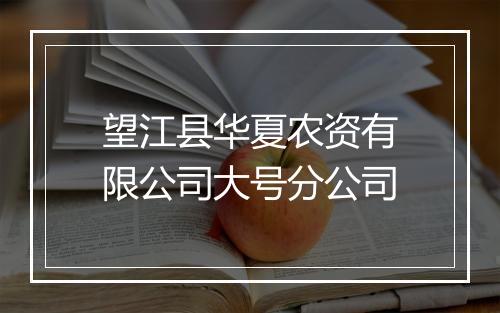 望江县华夏农资有限公司大号分公司