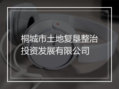 桐城市土地复垦整治投资发展有限公司