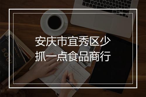 安庆市宜秀区少抓一点食品商行