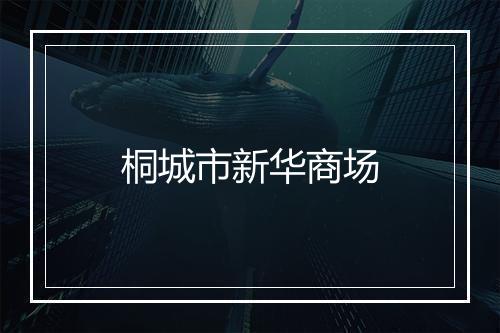 桐城市新华商场