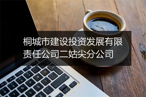 桐城市建设投资发展有限责任公司二姑尖分公司