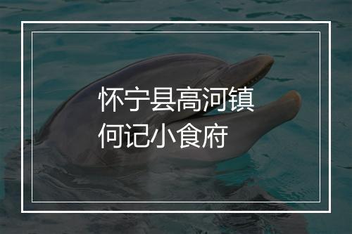 怀宁县高河镇何记小食府