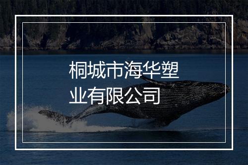 桐城市海华塑业有限公司