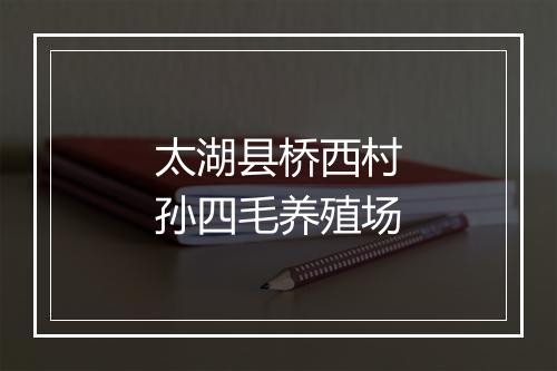 太湖县桥西村孙四毛养殖场
