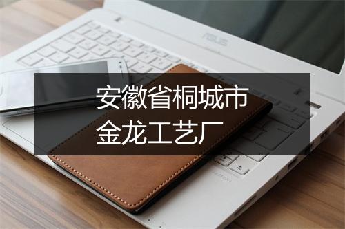 安徽省桐城市金龙工艺厂