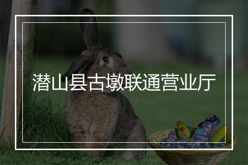 潜山县古墩联通营业厅