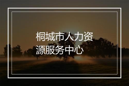 桐城市人力资源服务中心