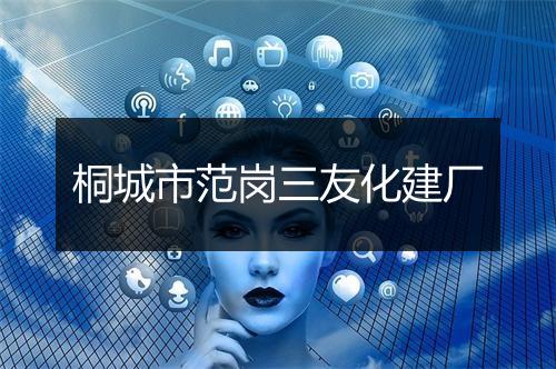 桐城市范岗三友化建厂