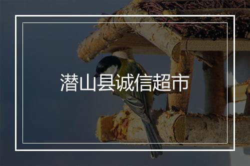 潜山县诚信超市