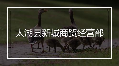 太湖县新城商贸经营部