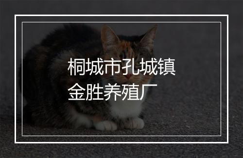 桐城市孔城镇金胜养殖厂