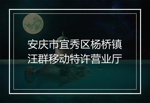安庆市宜秀区杨桥镇汪群移动特许营业厅