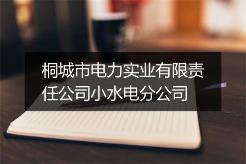 桐城市电力实业有限责任公司小水电分公司