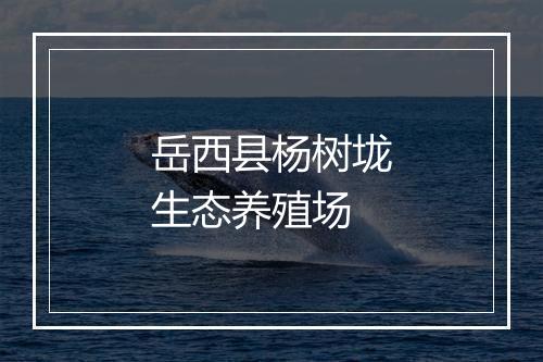 岳西县杨树垅生态养殖场