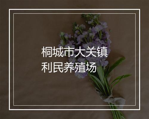 桐城市大关镇利民养殖场