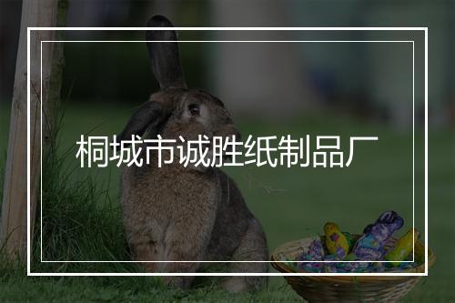 桐城市诚胜纸制品厂