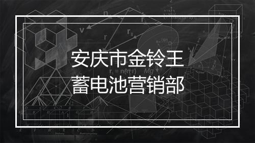 安庆市金铃王蓄电池营销部