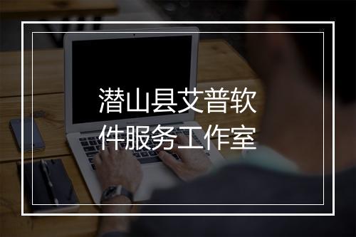 潜山县艾普软件服务工作室