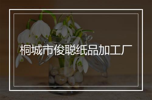 桐城市俊聪纸品加工厂