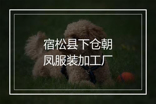 宿松县下仓朝凤服装加工厂