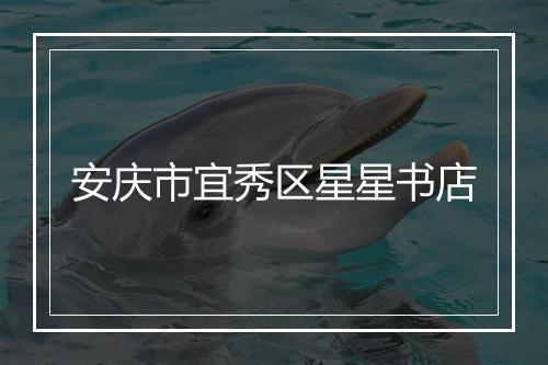 安庆市宜秀区星星书店