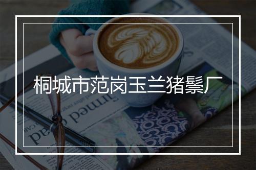 桐城市范岗玉兰猪鬃厂