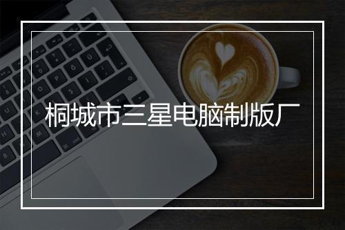 桐城市三星电脑制版厂