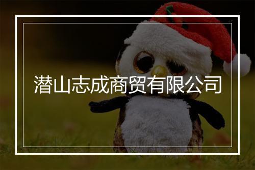 潜山志成商贸有限公司