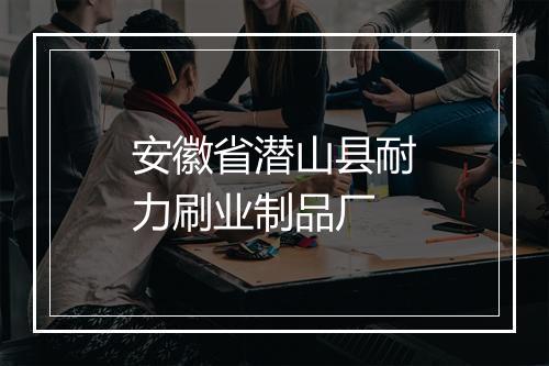 安徽省潜山县耐力刷业制品厂