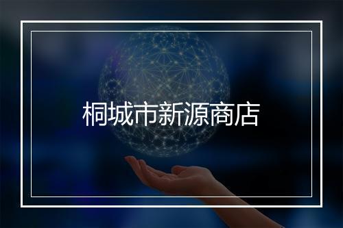 桐城市新源商店