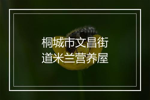 桐城市文昌街道米兰营养屋
