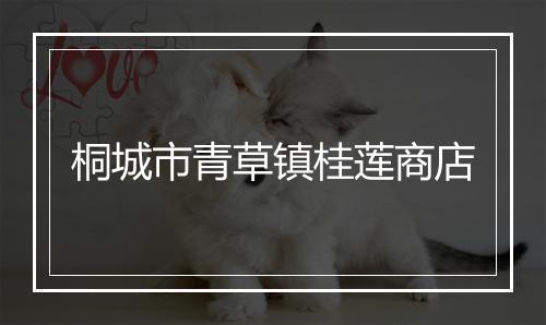 桐城市青草镇桂莲商店