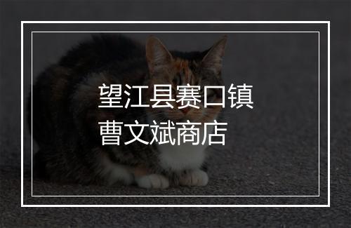 望江县赛口镇曹文斌商店
