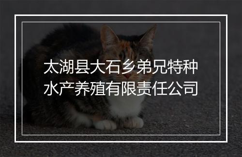 太湖县大石乡弟兄特种水产养殖有限责任公司
