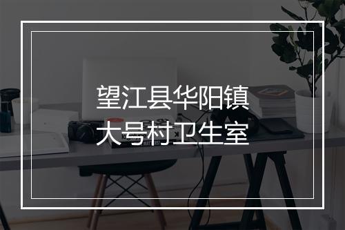 望江县华阳镇大号村卫生室