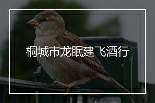 桐城市龙眠建飞酒行