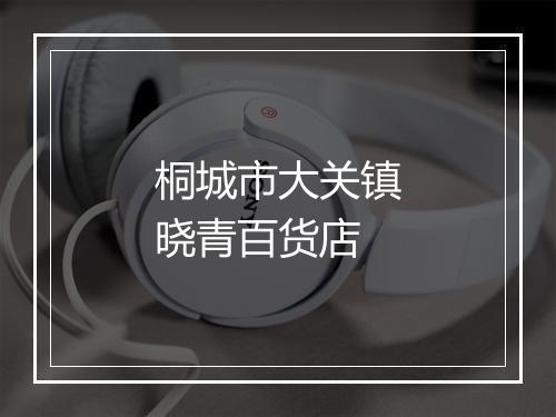 桐城市大关镇晓青百货店